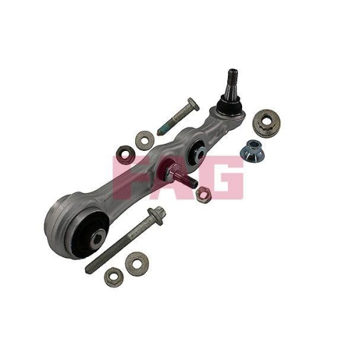 Schaeffler FAG Lenker, Radaufh&auml;ngung