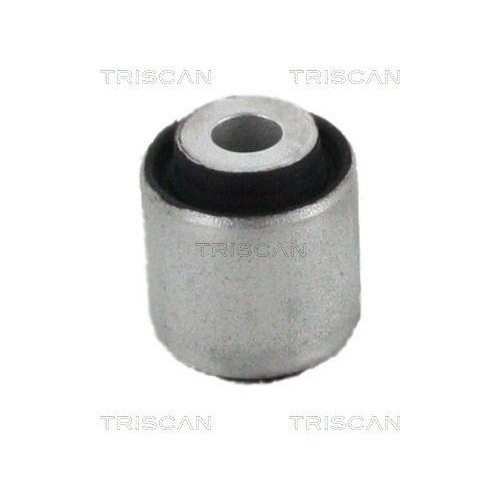 TRISCAN Lagerung, Lenker