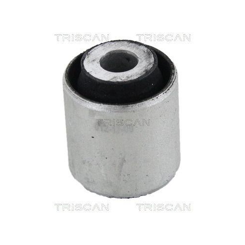 TRISCAN Lagerung, Lenker