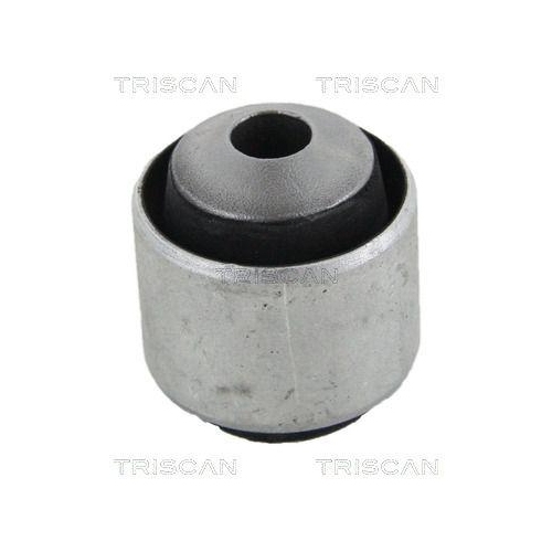 TRISCAN Lagerung, Lenker