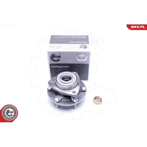 ESEN SKV Radlagersatz