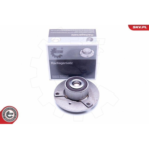 ESEN SKV Radlagersatz