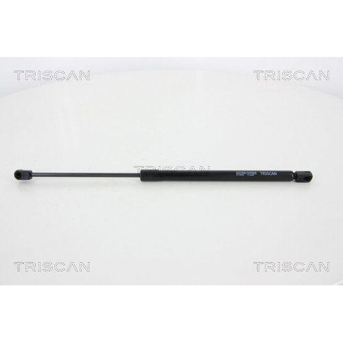 TRISCAN Gasfeder, Koffer-/Laderaum