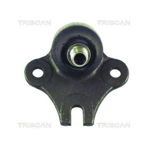 TRISCAN Trag-/F&uuml;hrungsgelenk