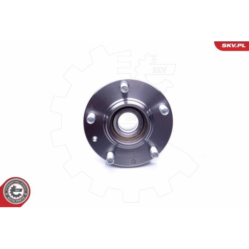 ESEN SKV Radlagersatz