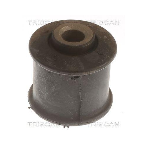 TRISCAN Lagerung, Lenker