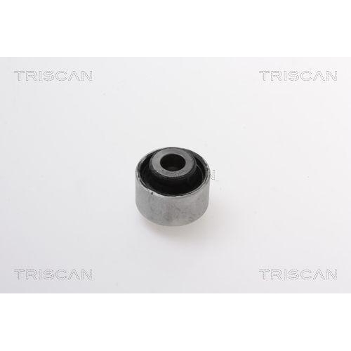 TRISCAN Lagerung, Lenker