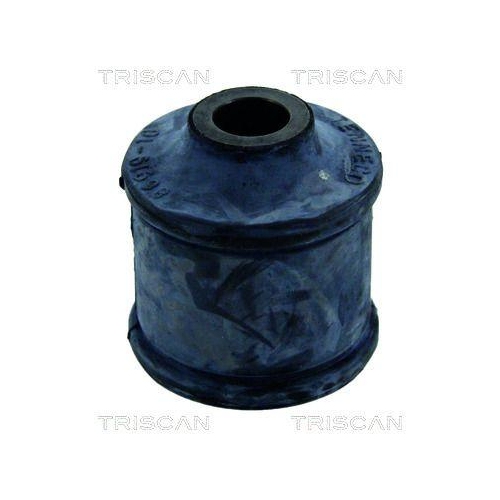 TRISCAN Lagerung, Lenker