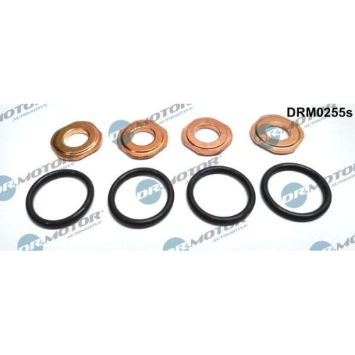 Dr.Motor Automotive Dichtungssatz, Einspritzd&uuml;se