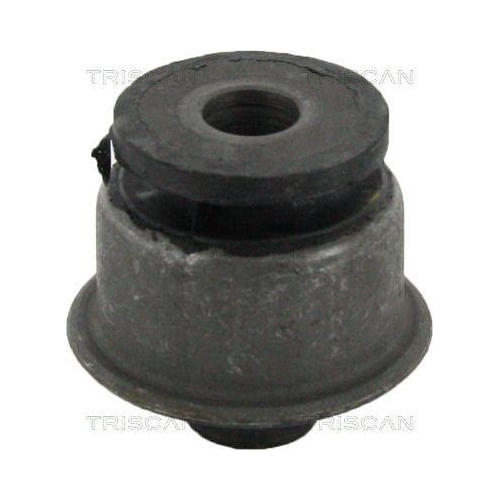 TRISCAN Lagerung, Lenker