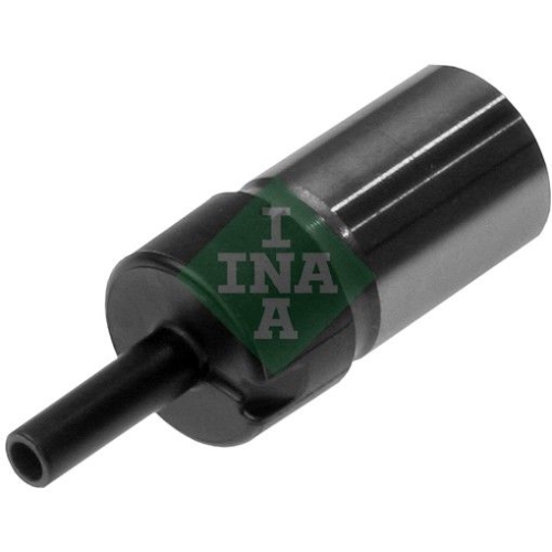 Schaeffler INA Spanner, Steuerkette