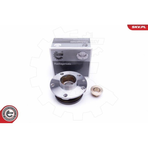 ESEN SKV Radlagersatz