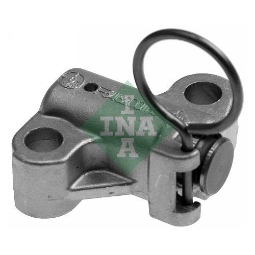 Schaeffler INA Spanner, Steuerkette