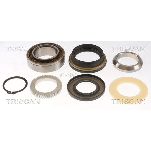 TRISCAN Radlagersatz