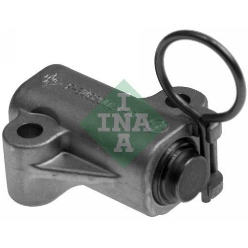 Schaeffler INA Spanner, Steuerkette