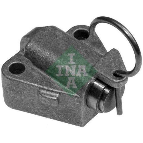 Schaeffler INA Spanner, Steuerkette