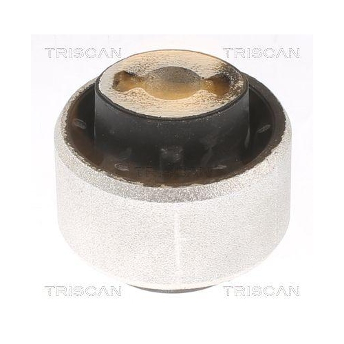 TRISCAN Lagerung, Lenker