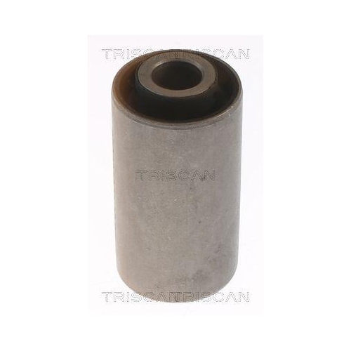 TRISCAN Lagerung, Lenker