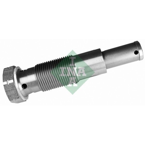 Schaeffler INA Spanner, Steuerkette