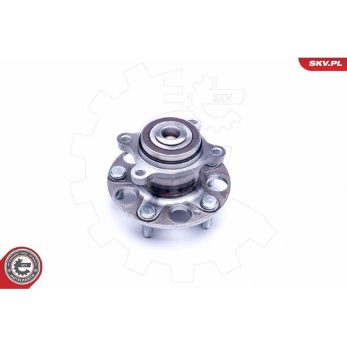 ESEN SKV Radlagersatz