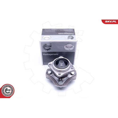 ESEN SKV Radlagersatz
