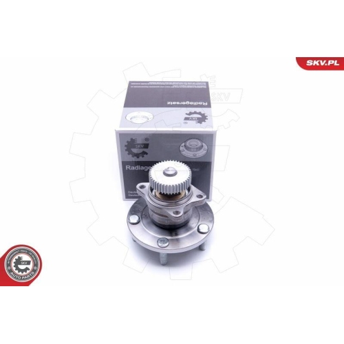 ESEN SKV Radlagersatz