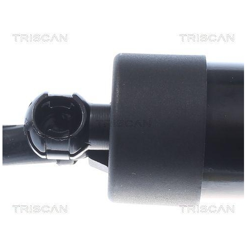TRISCAN Gasfeder, Koffer-/Laderaum