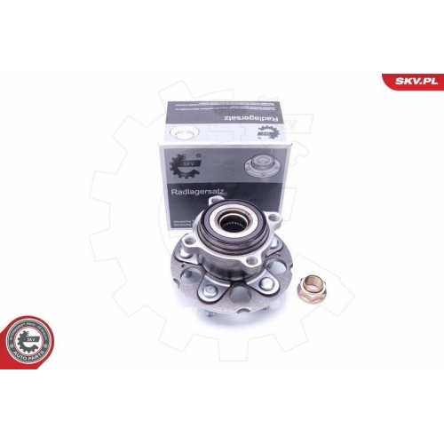 ESEN SKV Radlagersatz