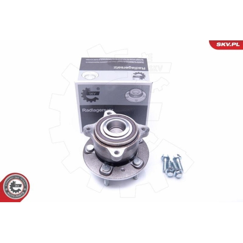ESEN SKV Radlagersatz