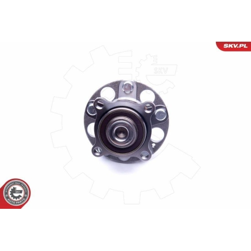 ESEN SKV Radlagersatz