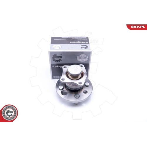 ESEN SKV Radlagersatz