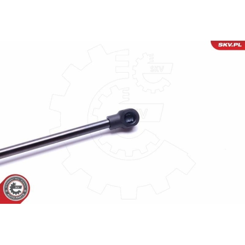 ESEN SKV Gasfeder, Koffer-/Laderaum