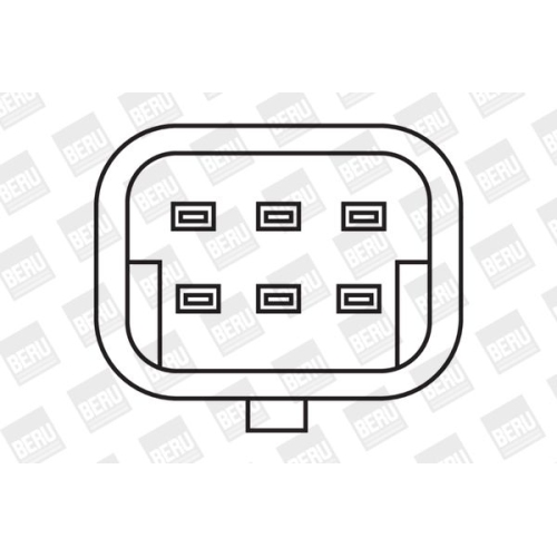 BorgWarner (BERU) Zündspule