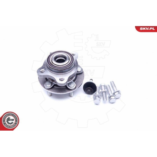 ESEN SKV Radlagersatz