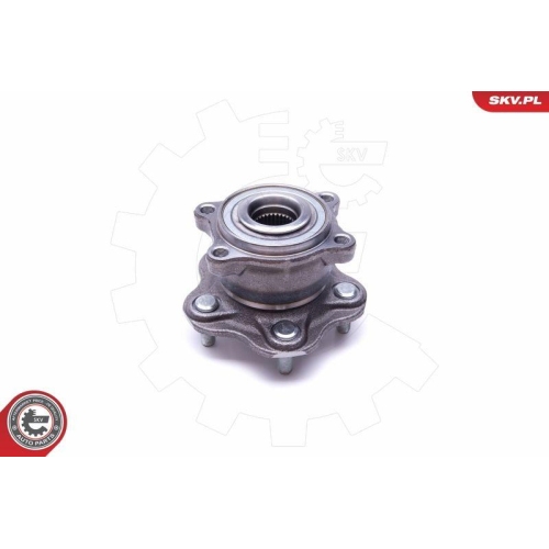 ESEN SKV Radlagersatz