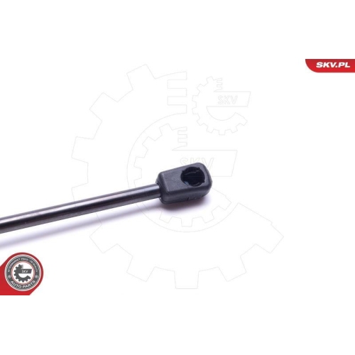 ESEN SKV Gasfeder, Koffer-/Laderaum