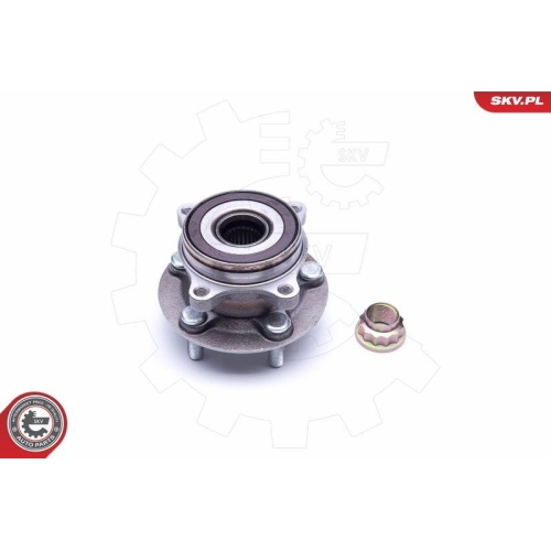 ESEN SKV Radlagersatz