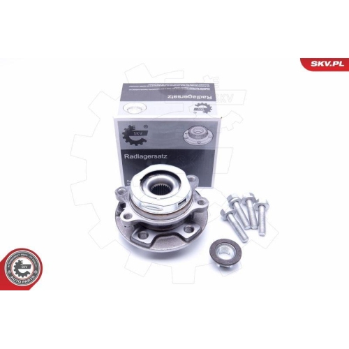 ESEN SKV Radlagersatz