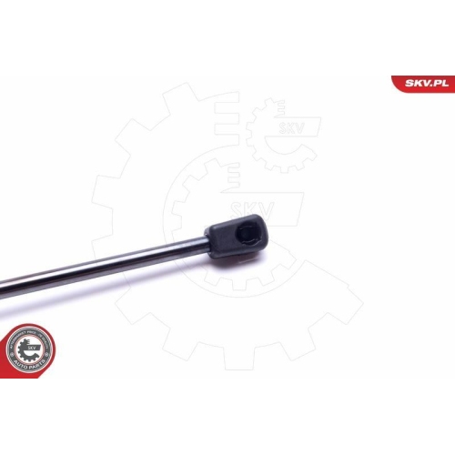 ESEN SKV Gasfeder, Koffer-/Laderaum