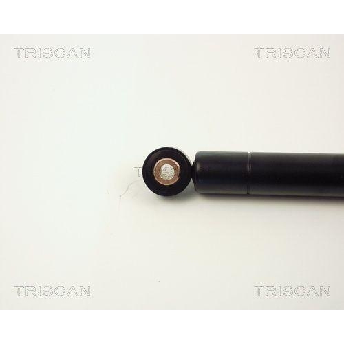 TRISCAN Schwingungsd&auml;mpfer, Keilrippenriemen