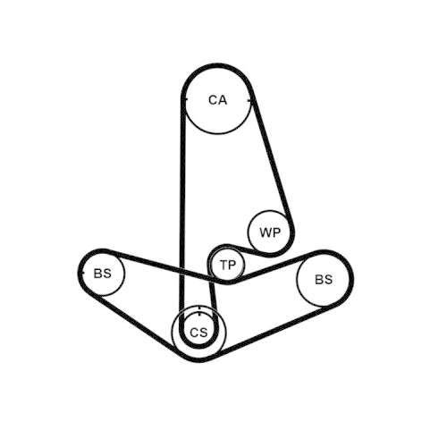 CONTINENTAL CTAM Zahnriemensatz