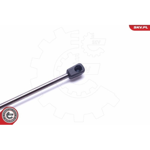 ESEN SKV Gasfeder, Koffer-/Laderaum