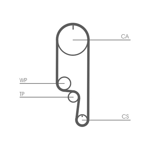 CONTINENTAL CTAM Zahnriemen