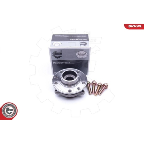 ESEN SKV Radlagersatz