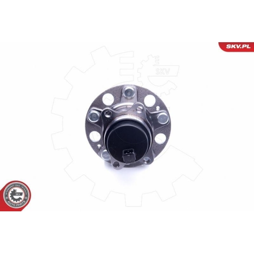 ESEN SKV Radlagersatz