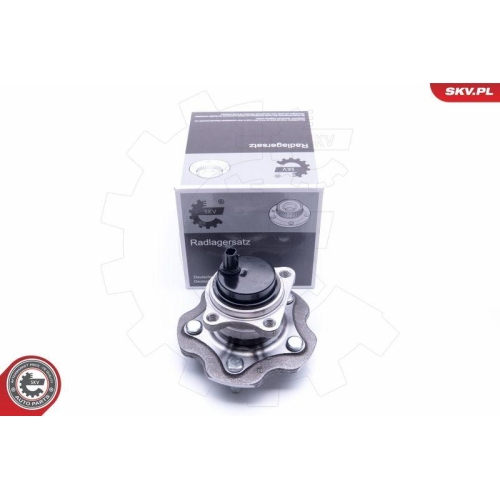 ESEN SKV Radlagersatz