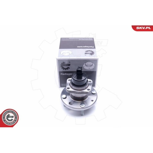 ESEN SKV Radlagersatz