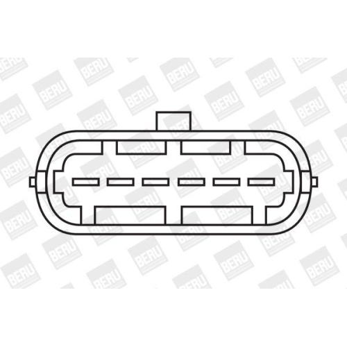 BorgWarner (BERU) Zündspule