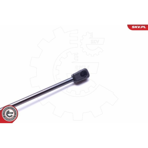 ESEN SKV Gasfeder, Koffer-/Laderaum