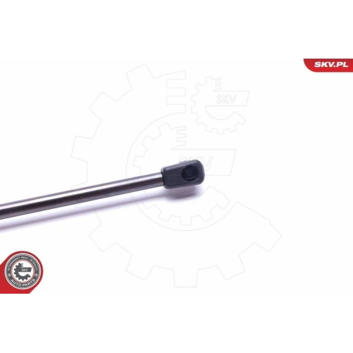 ESEN SKV Gasfeder, Koffer-/Laderaum